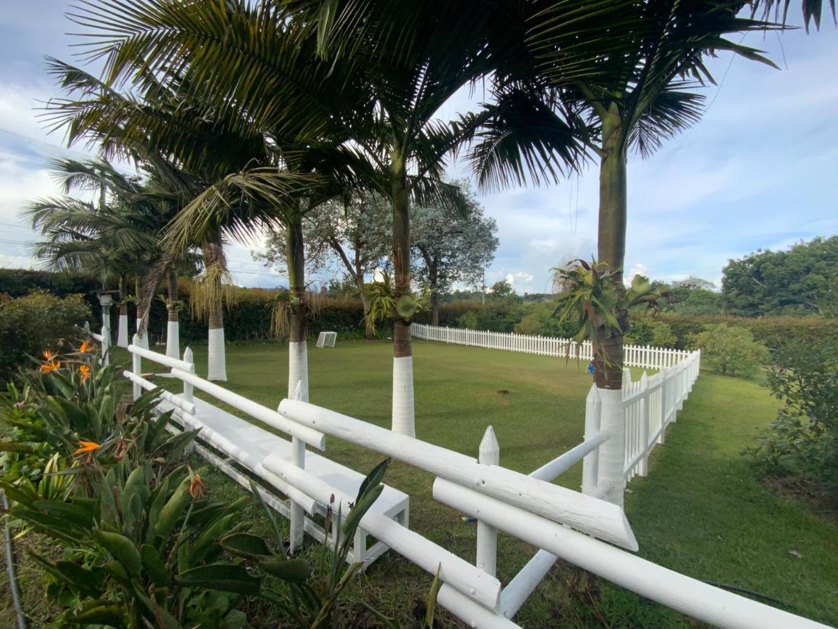 Finca Hotel 12 Palmas- Aeropuerto Jmc 里奥内格罗 外观 照片