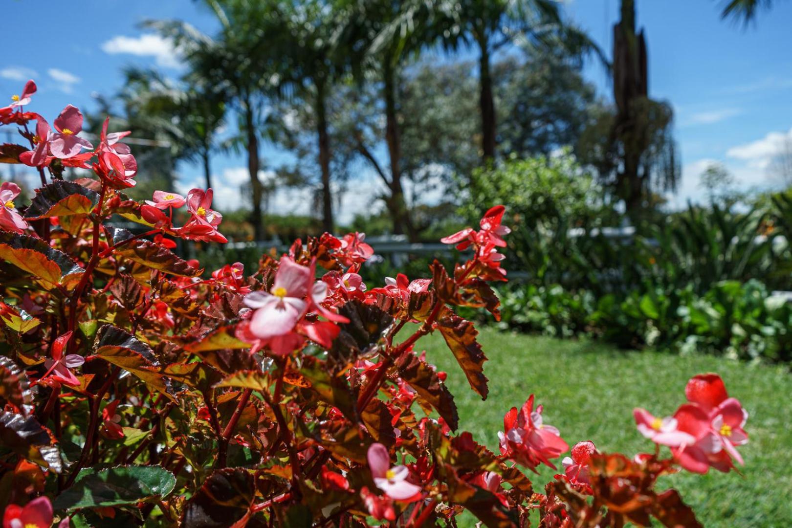 Finca Hotel 12 Palmas- Aeropuerto Jmc 里奥内格罗 外观 照片